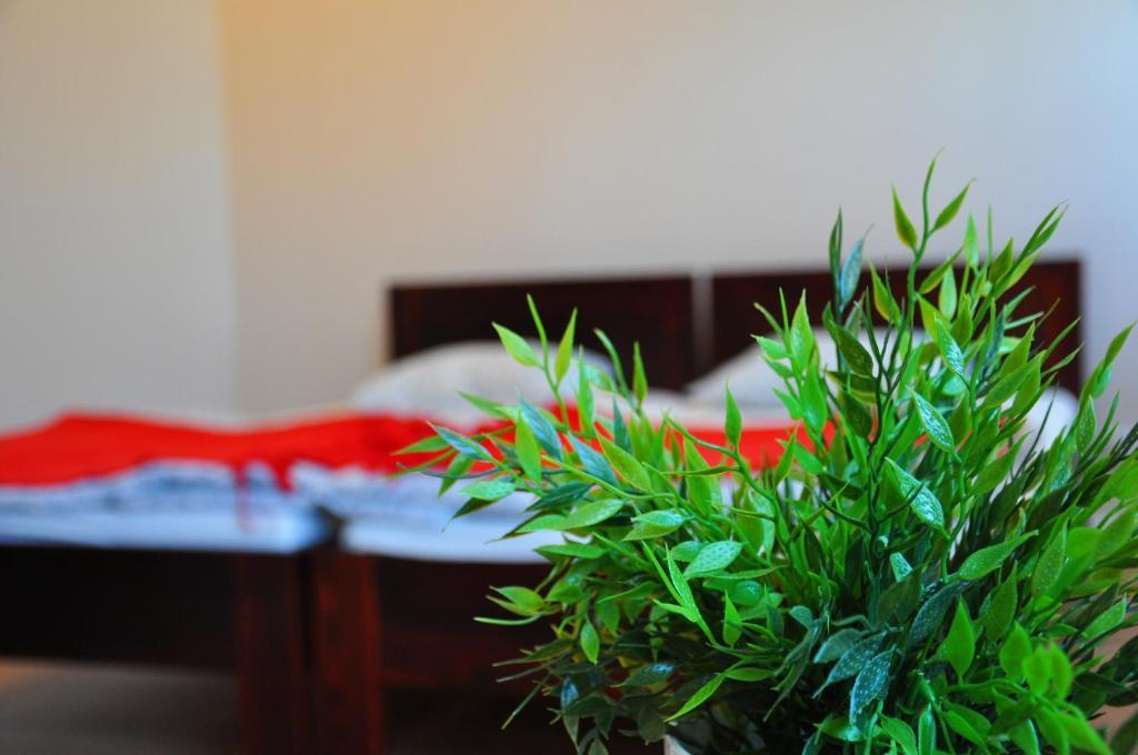 Willa Kalinowa Sopot Room photo